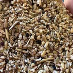 Tahir livestock inputs, buying and selling bran, straw, wheat and barley in Golestan