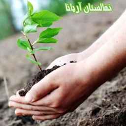Ariana Nursery in Zanjan, varieties of walnut, almond and fruit seedlings modified and resistant to cold