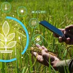 Hosseini Agricultural Holding, nationwide distributor of fertilizers and agricultural tools in Tehran
