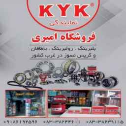 Amiri auto spare parts store, selling bearings and engine oil in Kermanshah
