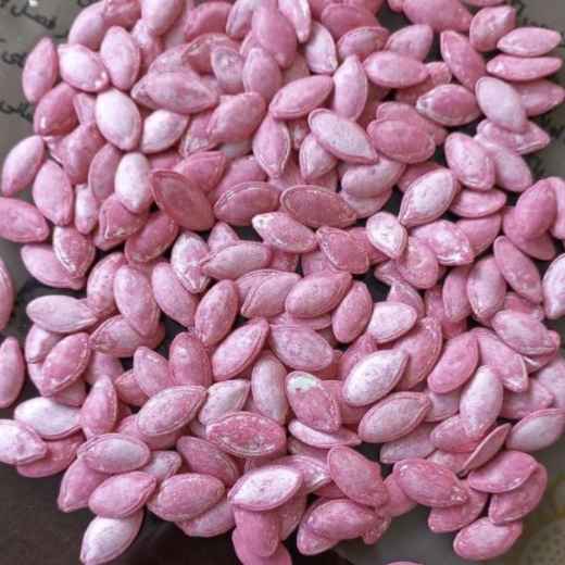 Pumpkin hybrid seeds