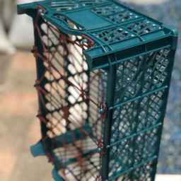 Majid Plastic Shandi Industrial Group, production of all kinds of plastic fruit baskets in Tabriz