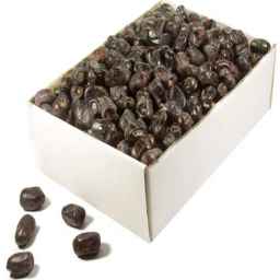 Solar cold storage, date packing and export industries in Bam