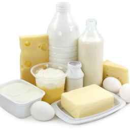 Jalga Dairy, wholesale sale and export of milk powder, butter and animal oil in Kermanshah