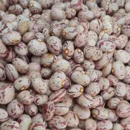 Ali Mohammadi Brothers Sorting, wholesale sale of Pakistani beans and rice in Arak