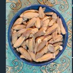 مجموعة من المفكرين الأحرار