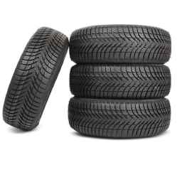 Nowruz rubber