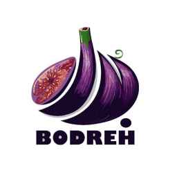Commerce and trade of dried figs of Estehban Badre Store in Fars