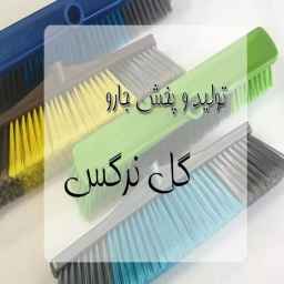 Production and distribution of narcissus flower broom in Fars