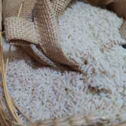 Sayed Rice Broadcast