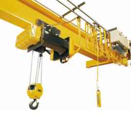 Zareshahi crane