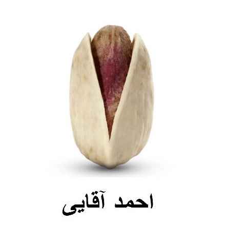 Pistachio Ahmad Aghaei