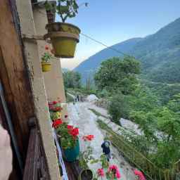 Traditional home residence