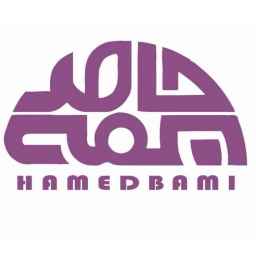 Hamed Bami