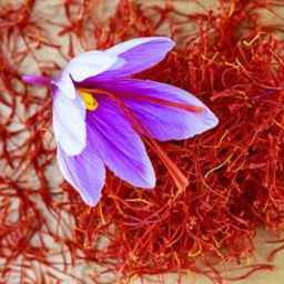 Bagheri's privileged saffron