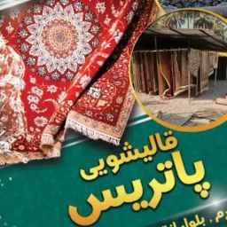 Patrice carpet cleaner