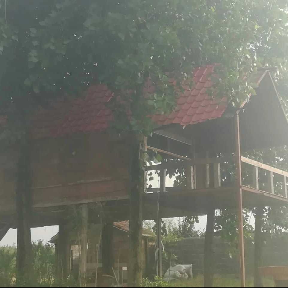 کلبه شانا