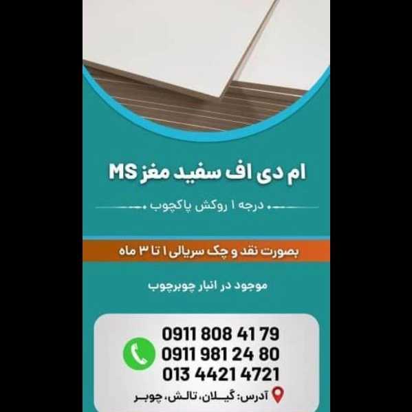 ام دی اف سفید مغز ms