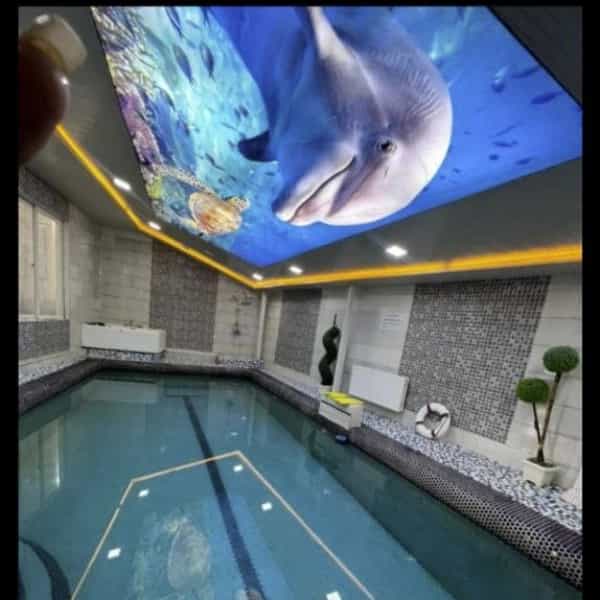 1718437263892.webp