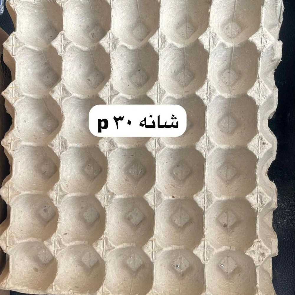 Egg comb 30 p