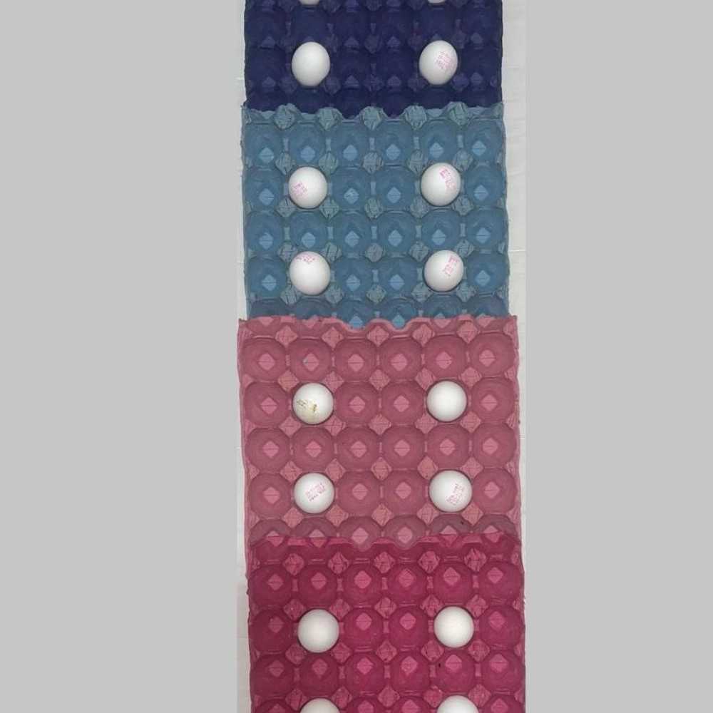 شانه تخم مرغ رنگی