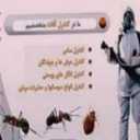 شركة بشارات لخدمات الرش في الأهواز