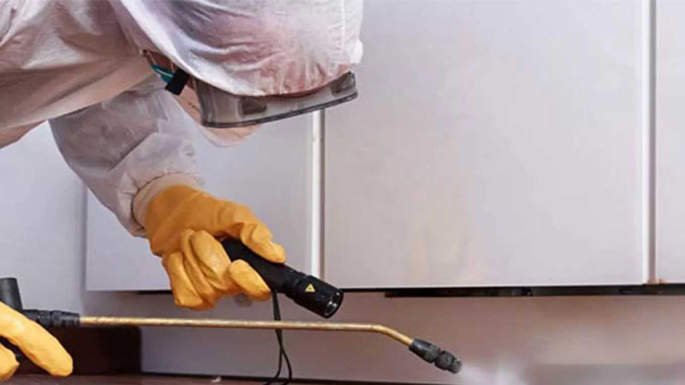 Basharat spraying service company in Ahvaz