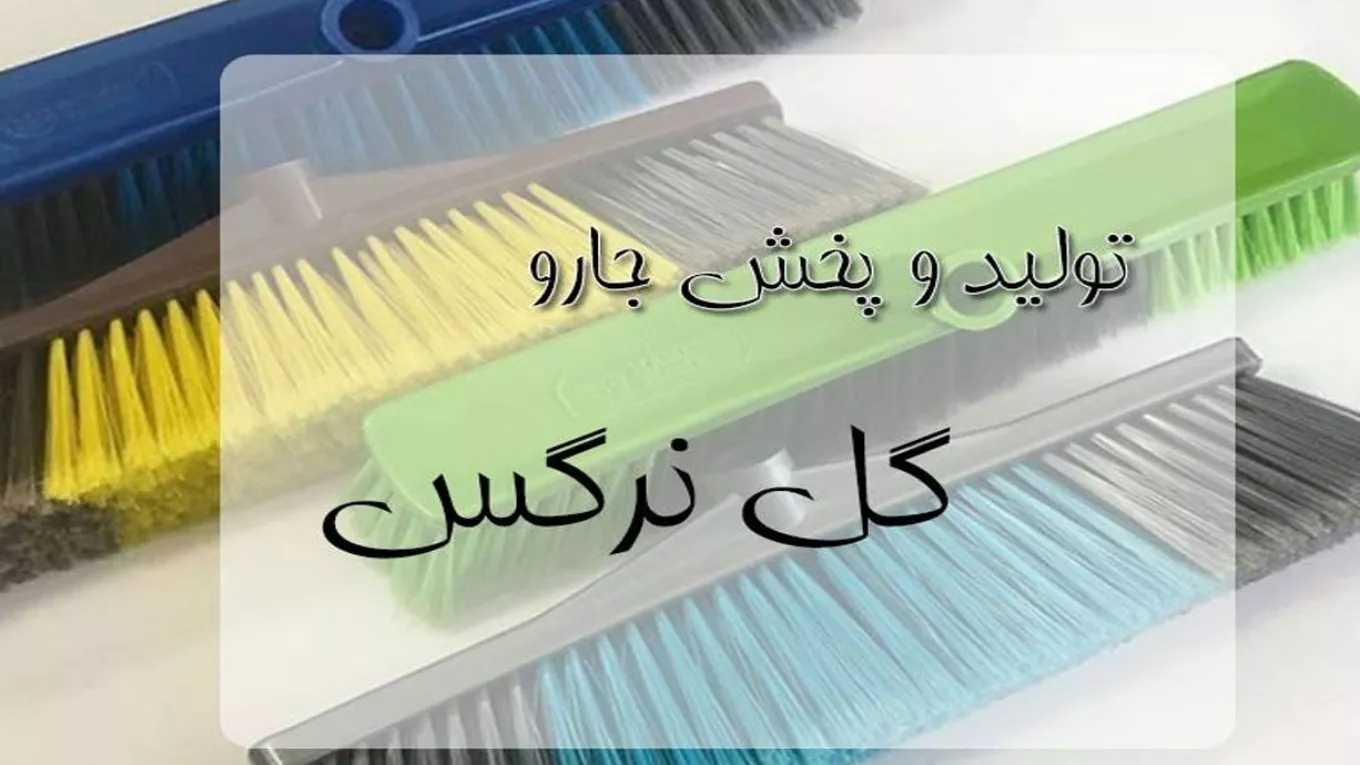Production and distribution of narcissus flower broom in Fars