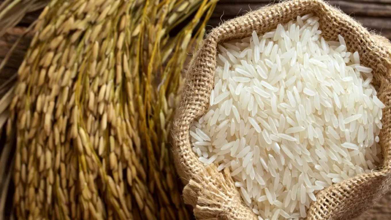 تجارة الأرز الغنباري في دواليش