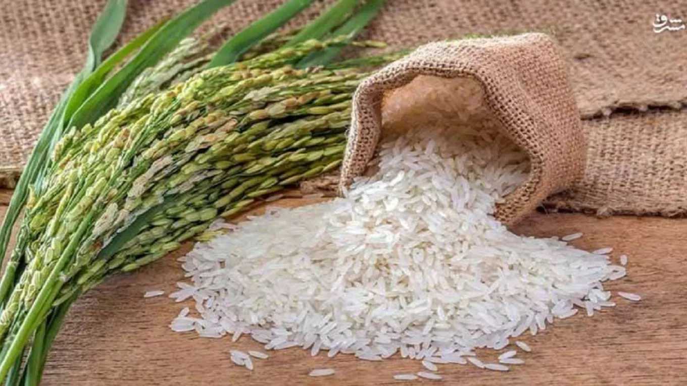 مجموعة الأحمدية لإنتاج الأرز