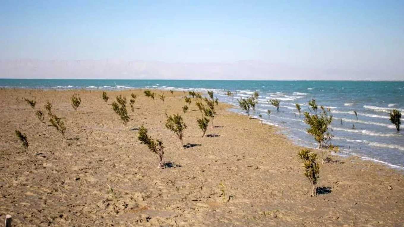 جاذبه گردشگری ساخت و فروش لنج در قشم