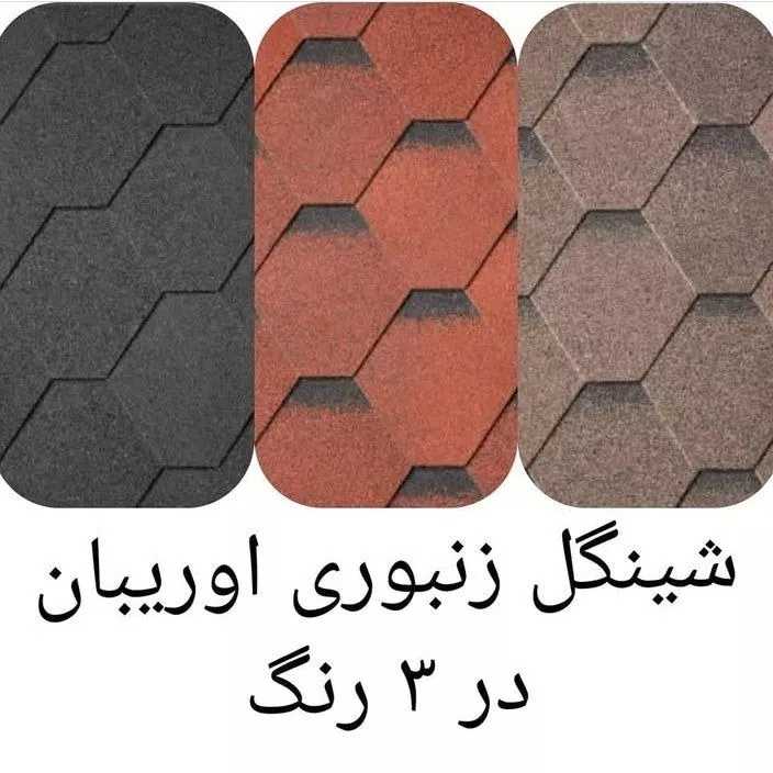 شینگل