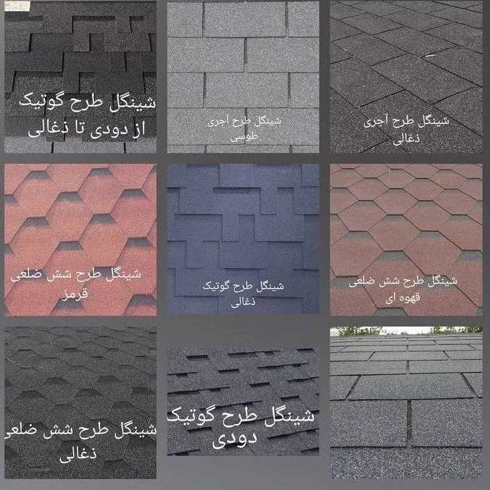 شینگل