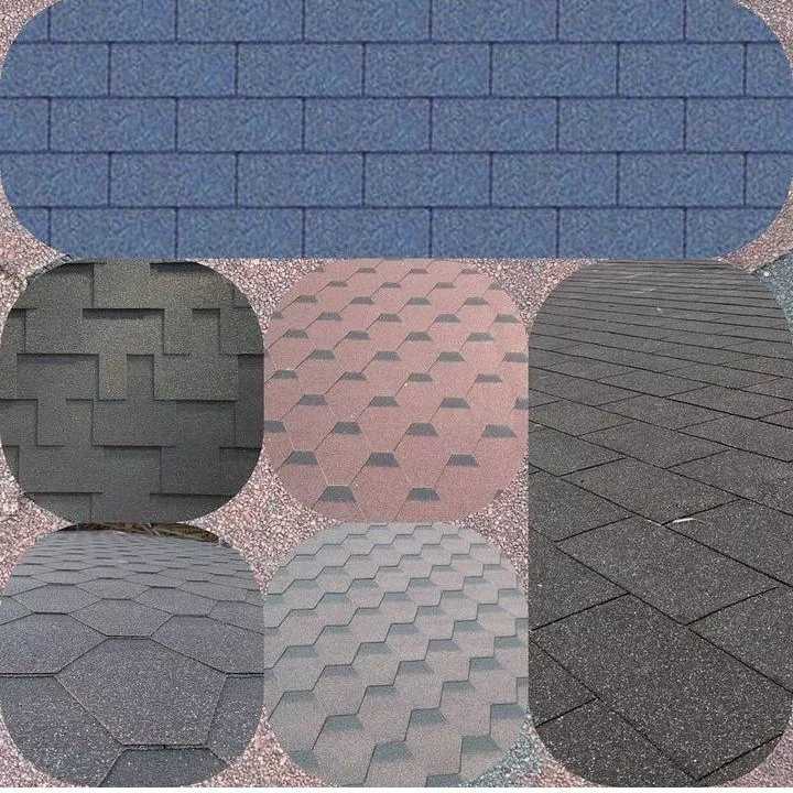 شینگل