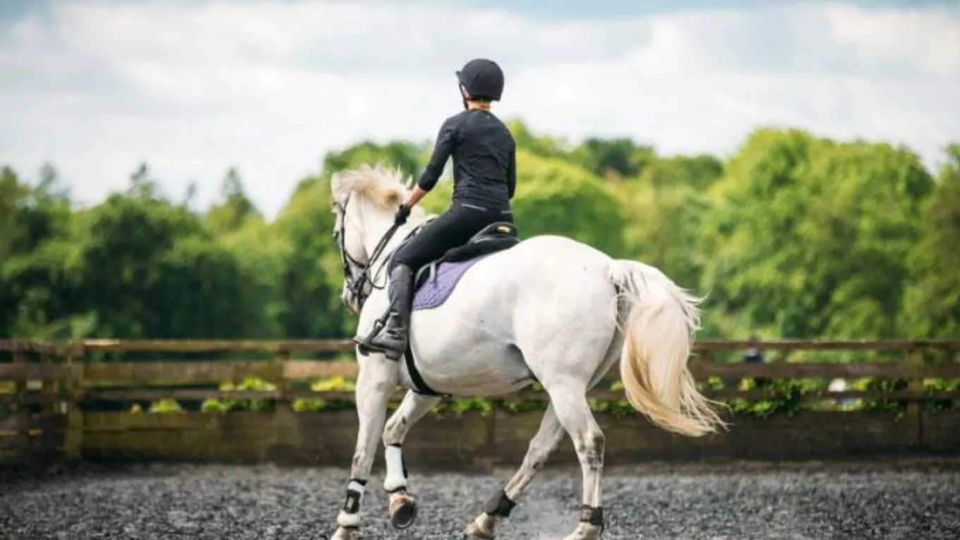Tofan Sablan riding club in Ardabil