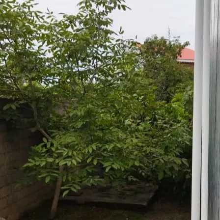 ●۱۵۰متر زمین  ●دودهانه مغازه ● طبقه اول ۹۰ متر ●طبقه دوم ۸۰ متر بنا ● دوخواب ۲۰ متر  قیمت: دومیلیاردوهفتصد میلیون