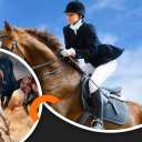 Zoroastrian Riding Club