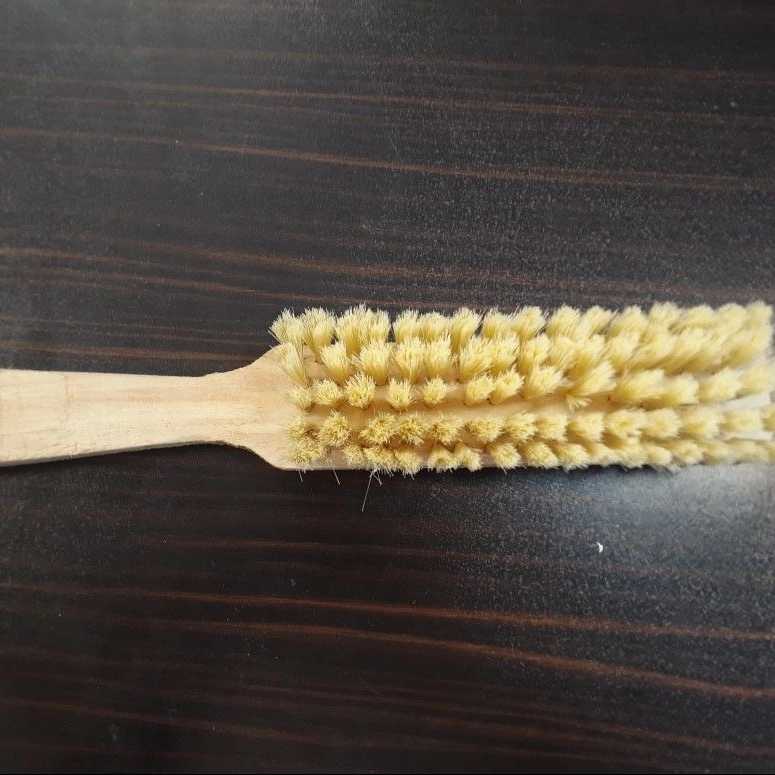 فرچه و برس شمس