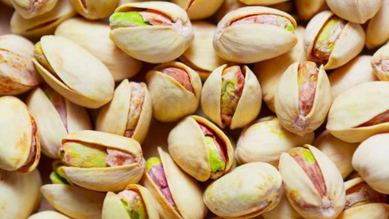 مصنع فستق الموسوي والفستق في يزد