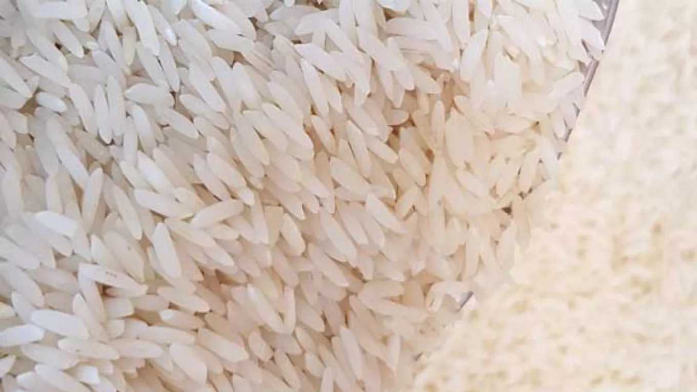 آشنایی با انواع برنج ایرانی