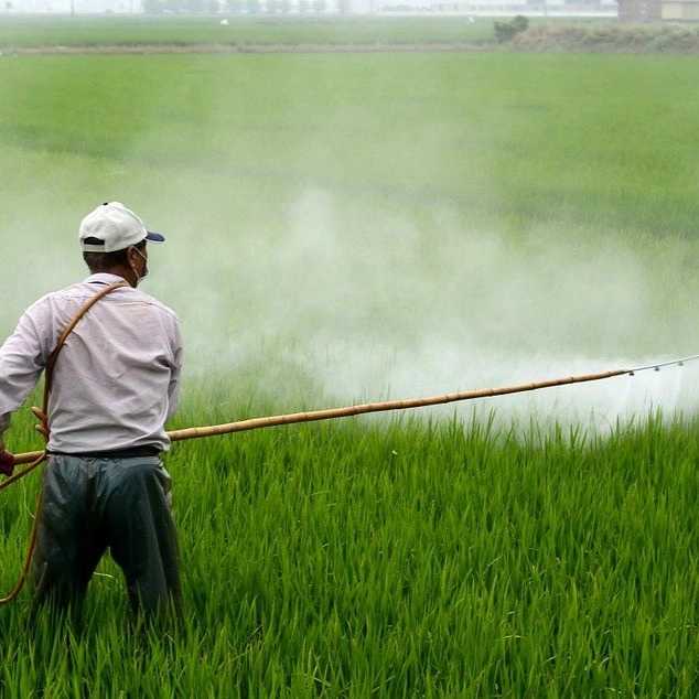 مجموعه کشاورزی راویس