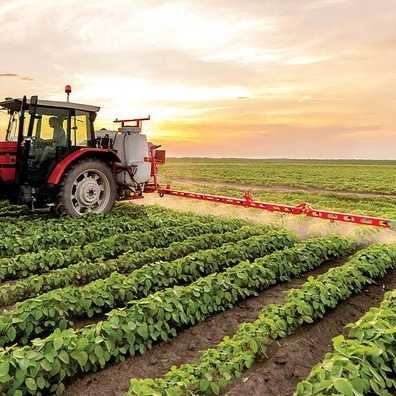 مجموعه کشاورزی راویس