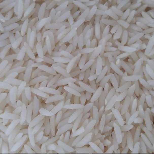 برنج فروشی خزر