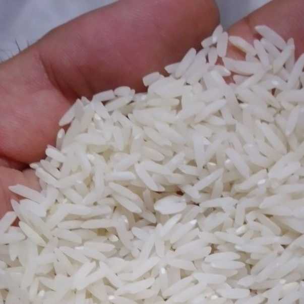 برنج فروشی خزر