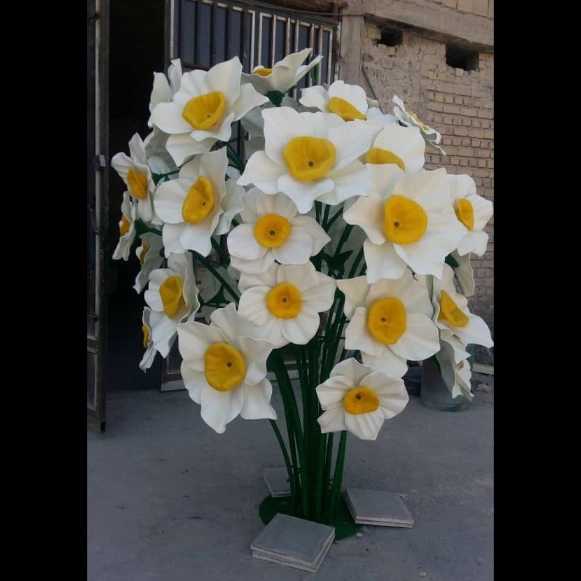 المان گل نرگس