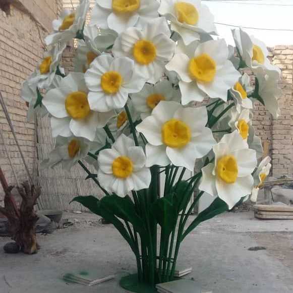 المان گل نرگس
