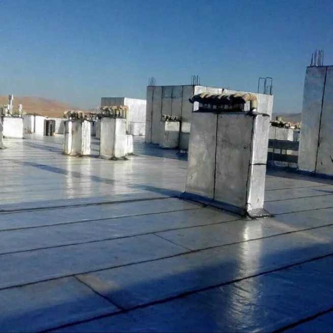 ایزوگام محسنی
