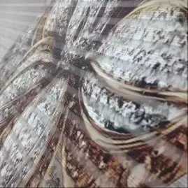 پرده زبرا