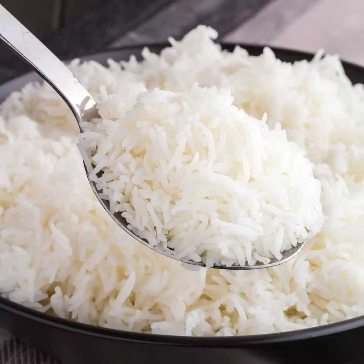 تولیدی برنج گیلان خزر