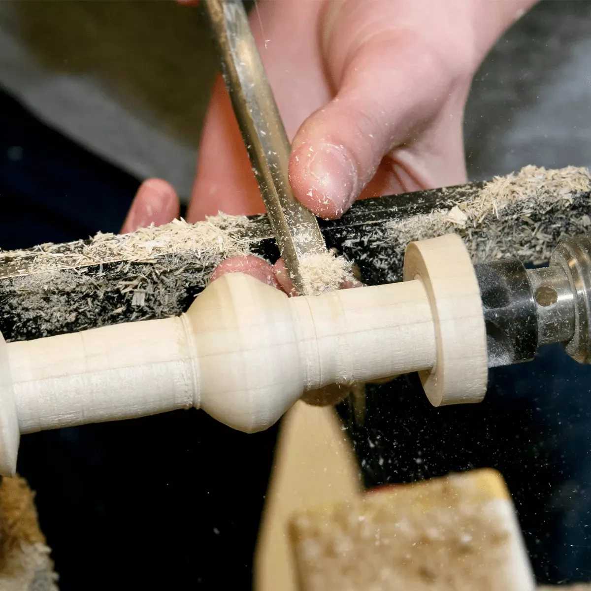 خراطی راش در گنبد کاووس